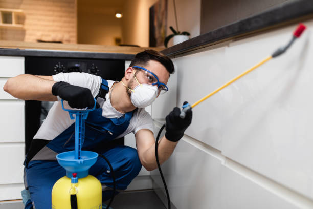 Best Ant Control Services  in Pahala, HI